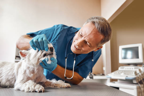 Best Emergency Dentist for Special Needs Patients in West Modesto, CA